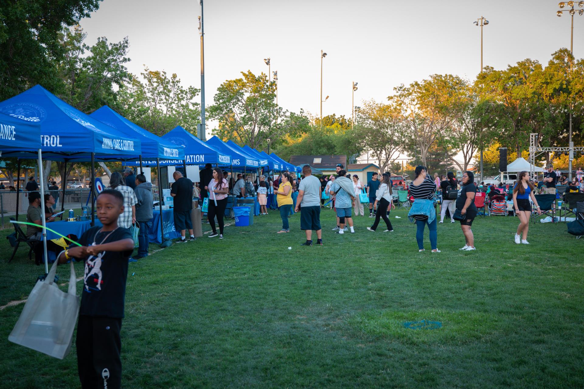 Community enjoying Concerts at the Park