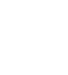 Christmas Tree icon