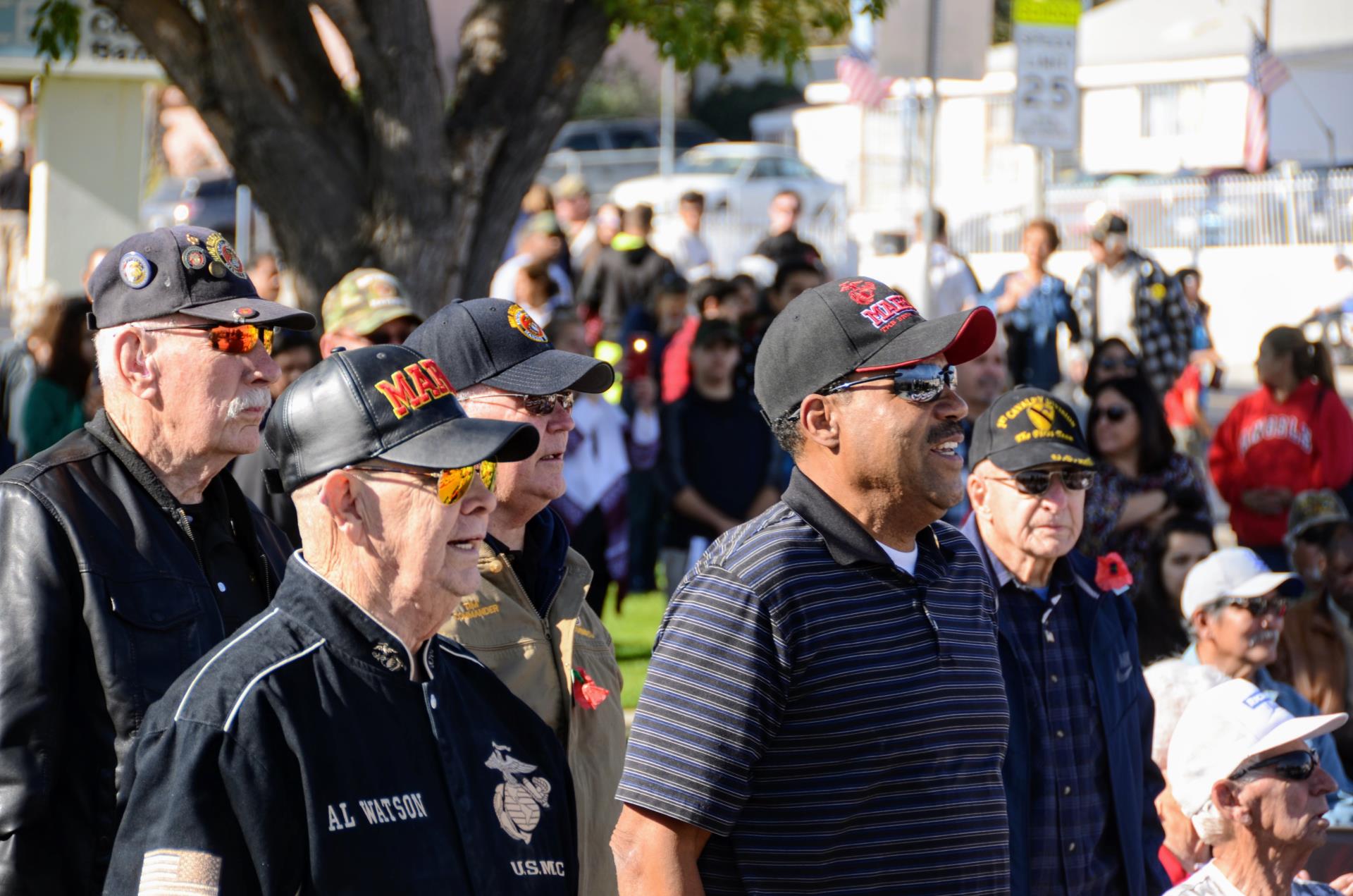 Veterans at Ceremony