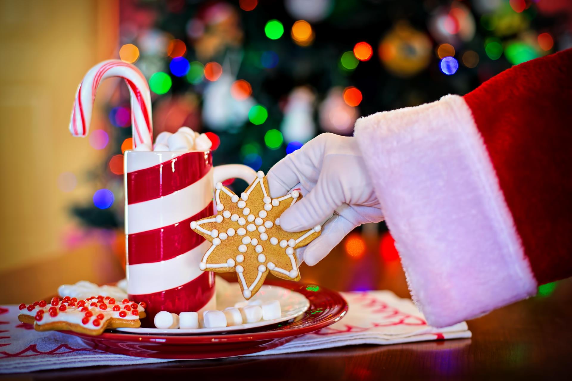 Santa reaching for holiday cookie