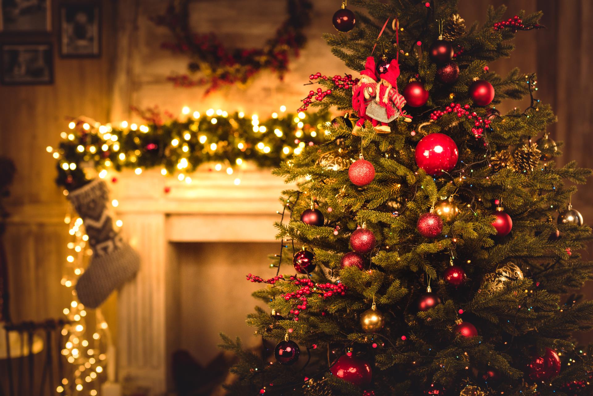 Christmas Tree and fireplace