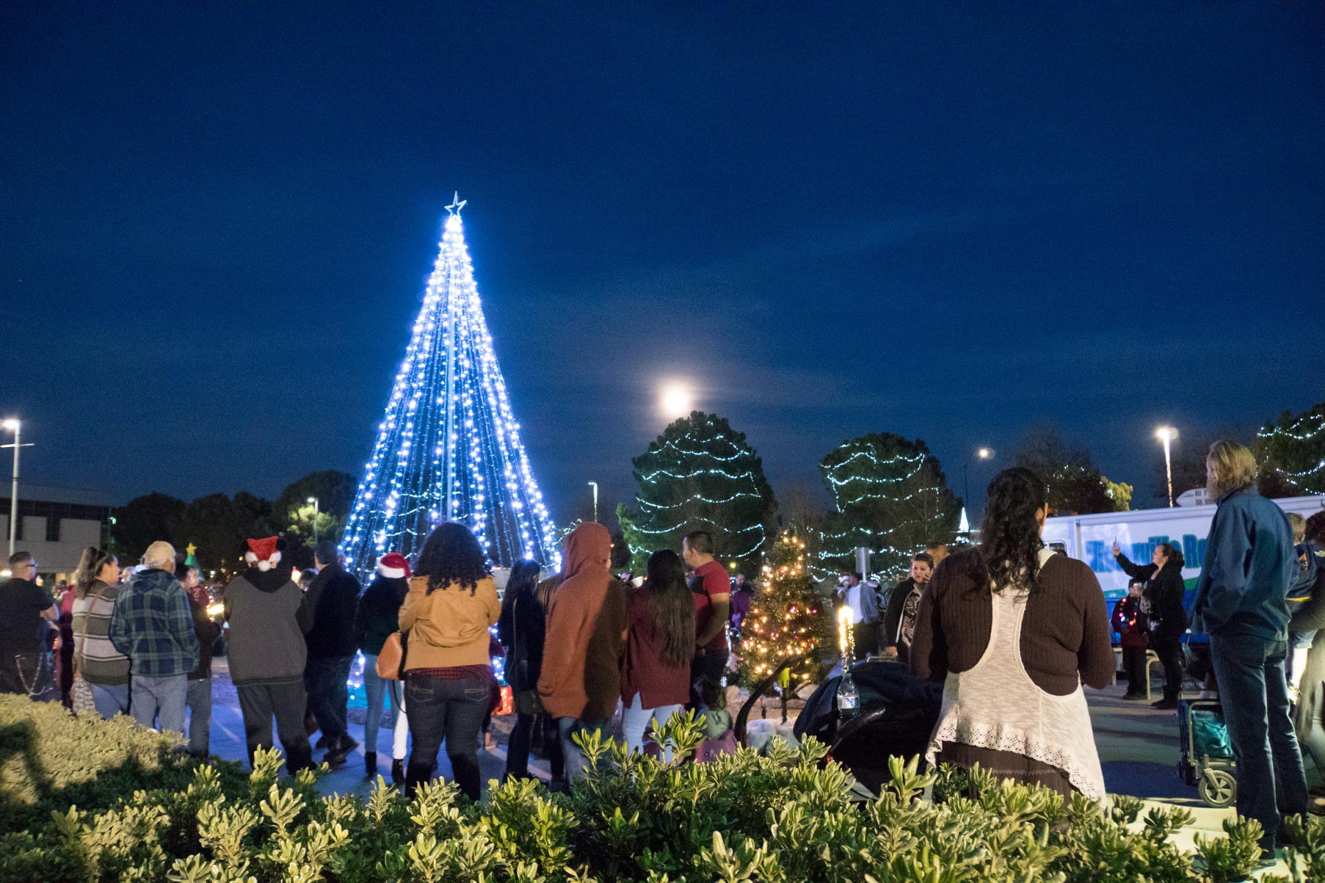 Festival of Lights and Tree Lighting Ceremony