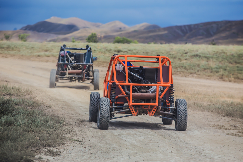 OHV with bushes