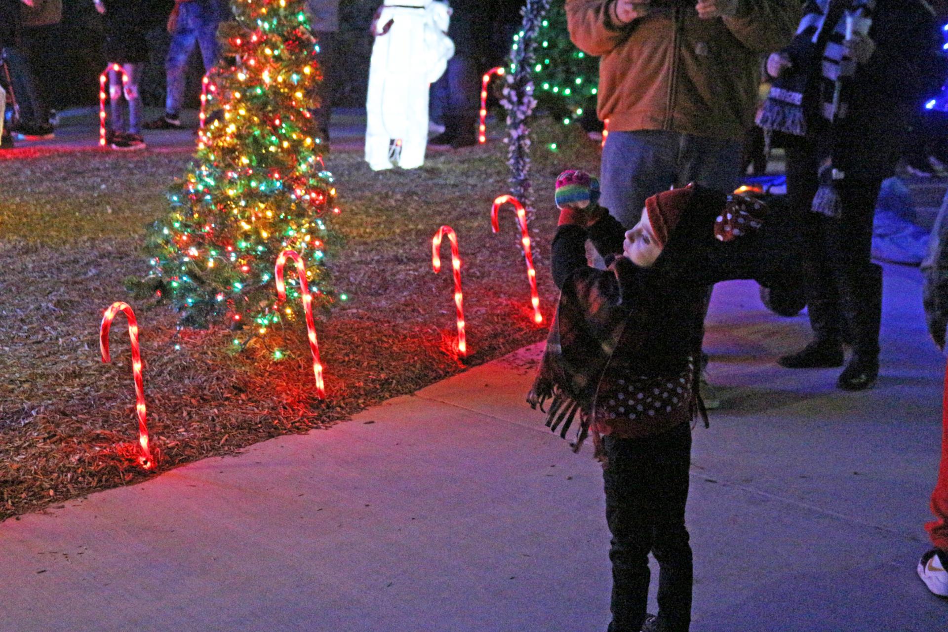 Festival of Lights and Tree Lighting